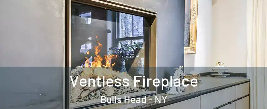 Ventless Fireplace Bulls Head - NY