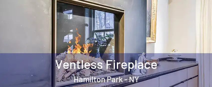 Ventless Fireplace Hamilton Park - NY