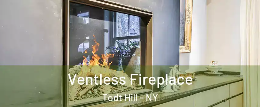 Ventless Fireplace Todt Hill - NY