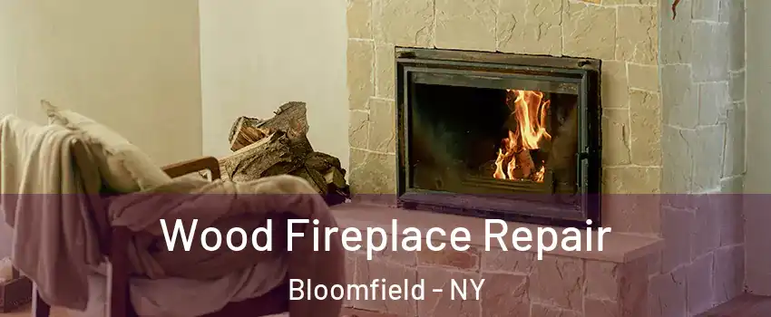 Wood Fireplace Repair Bloomfield - NY