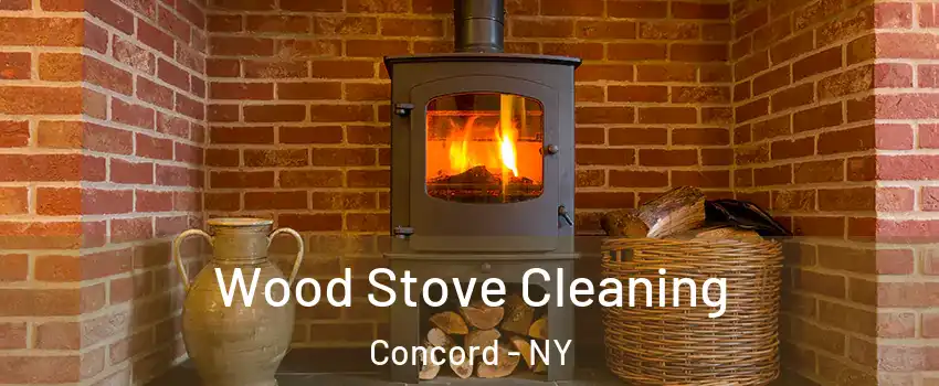 Wood Stove Cleaning Concord - NY