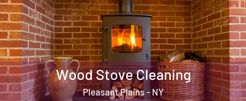 Wood Stove Cleaning Pleasant Plains - NY