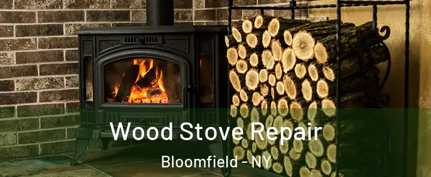 Wood Stove Repair Bloomfield - NY