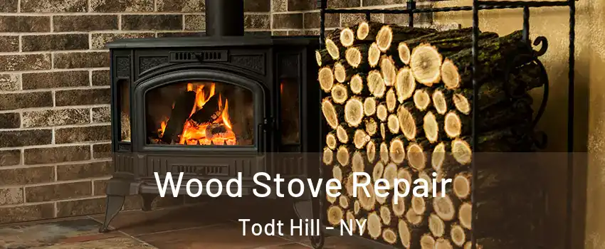 Wood Stove Repair Todt Hill - NY